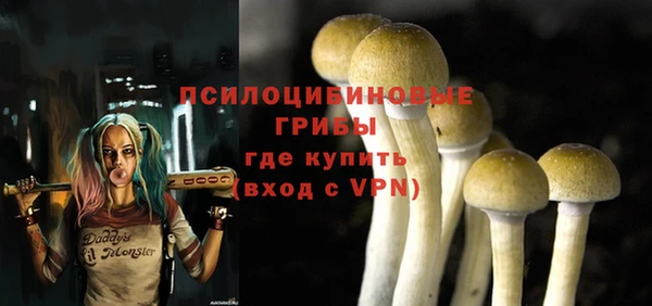 герыч Алексеевка