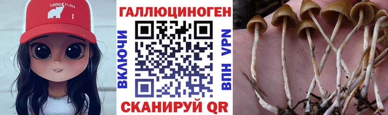 Галлюциногенные грибы прущие грибы  Железногорск 